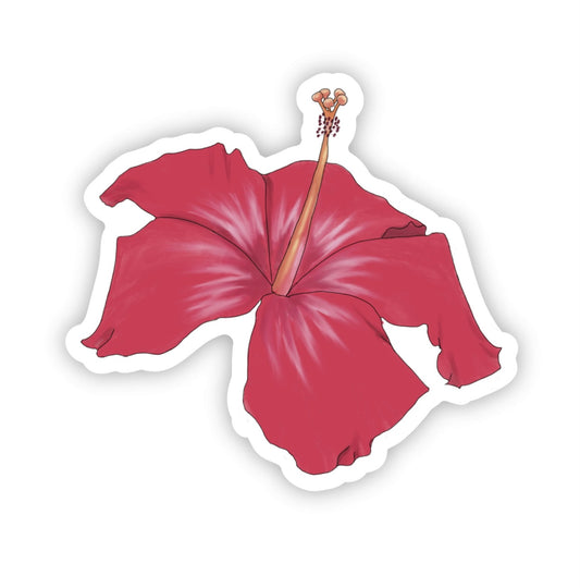 Hibiscus